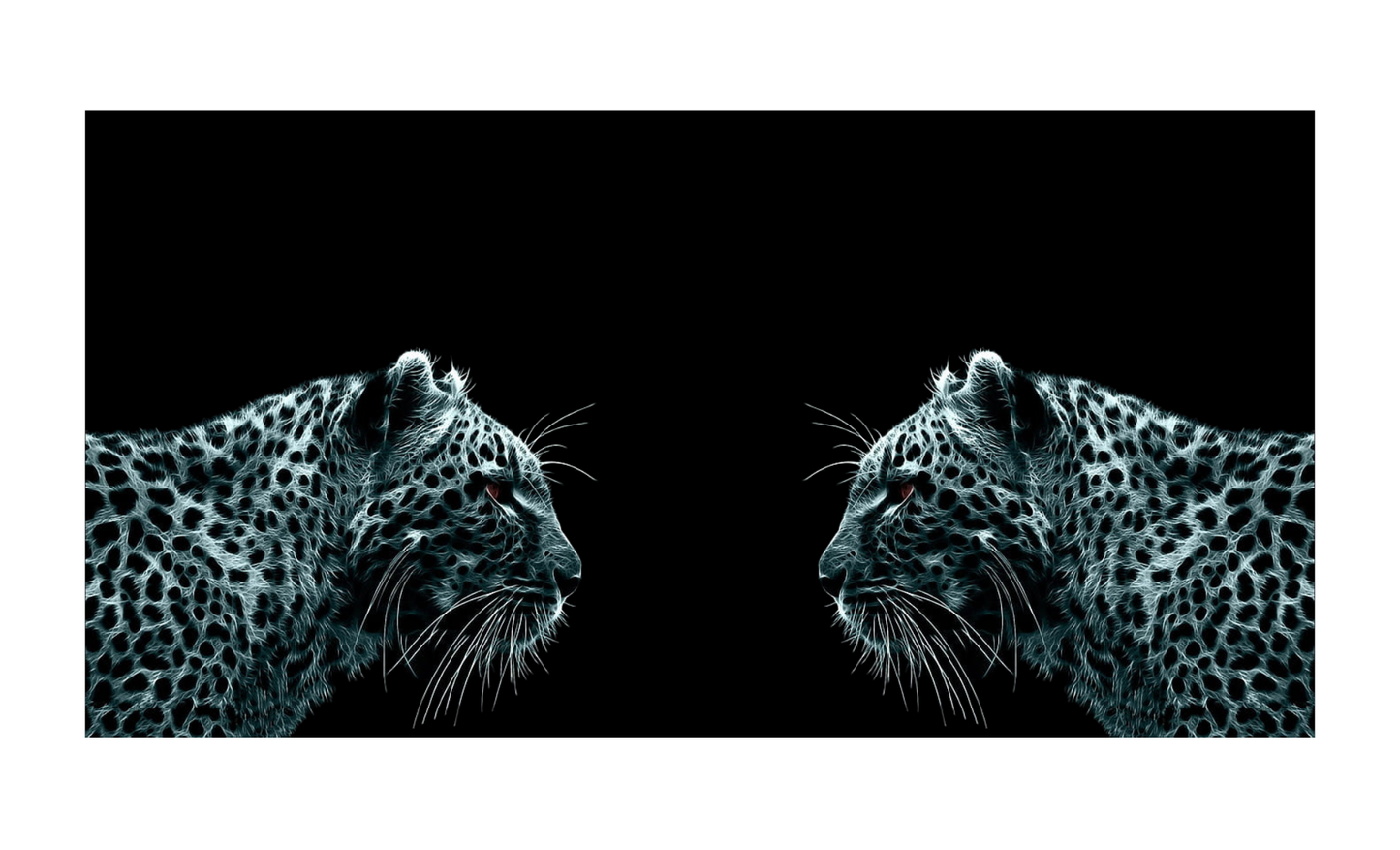 White Leopard License Plate 6x12