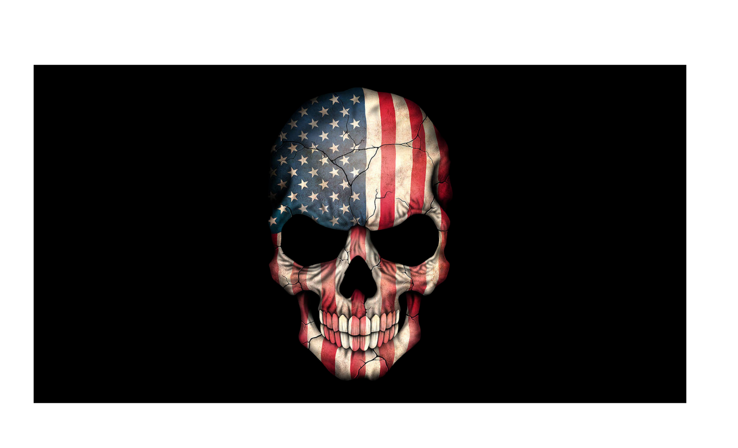 American Flag Skull License Plate 6x12