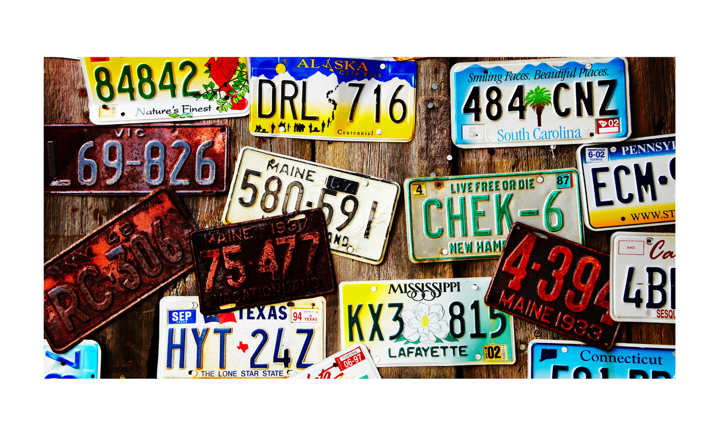 Mixed States License Plate 6x12
