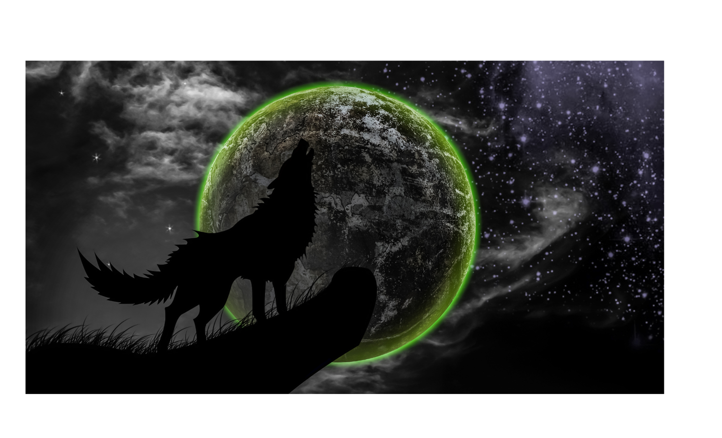 Wolf at Night License Plate 6x12