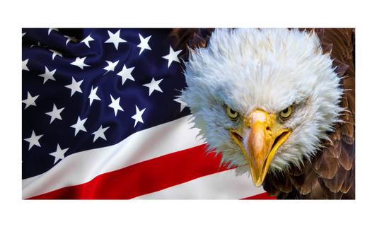 American Flag with Eagle 6x12