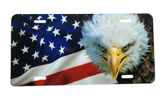 American Flag with Eagle