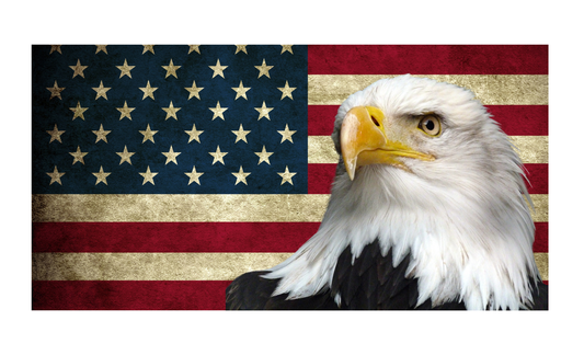 Eagle American Flag License Plate 6x12