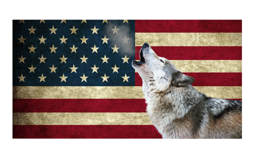 American Flag with Wolf 6x12