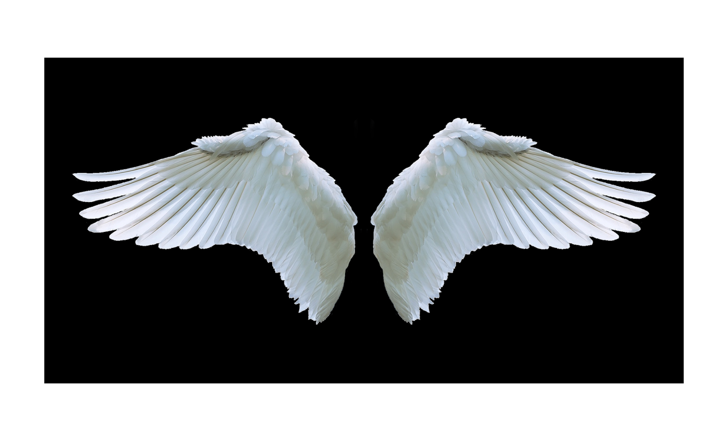 Angel Wings License Plate 6x12