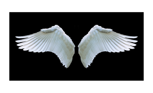 Angel Wings License Plate 6x12