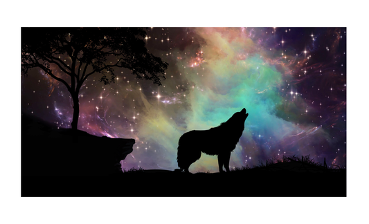 Wolf with Galaxy License Plate 6x12
