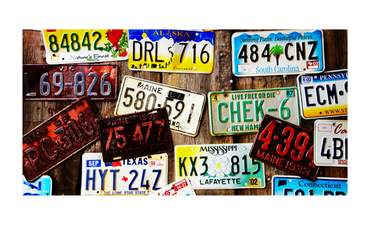 Mixed States License Plate 6x12