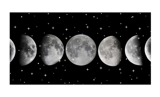 Phases of the Moon License Plate 6x12