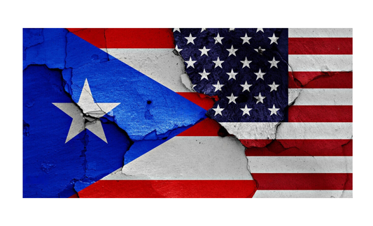 Puerto Rico & American Flag License Plate 6x12
