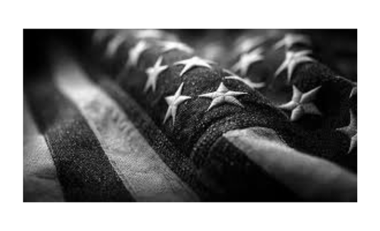 American Flag Dark License Plate 6x12