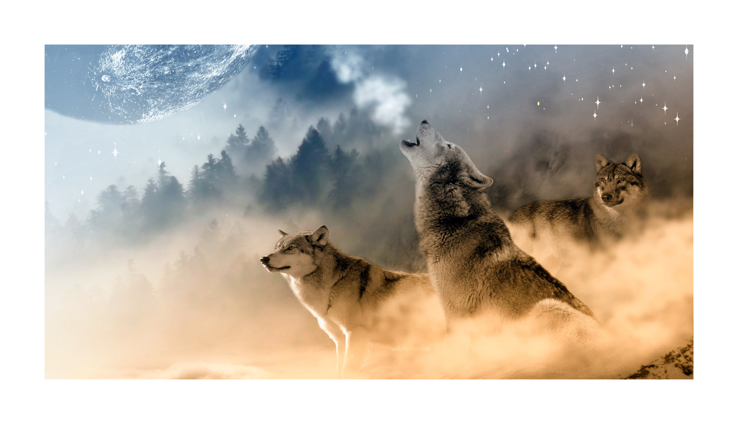 Wolf Howling License Plate 6x12