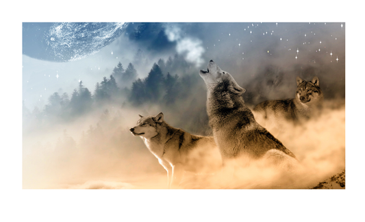 Wolf Howling License Plate 6x12